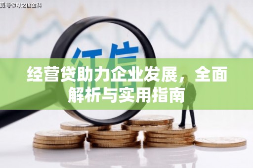 屏南经营贷助力企业发展，全面解析与实用指南