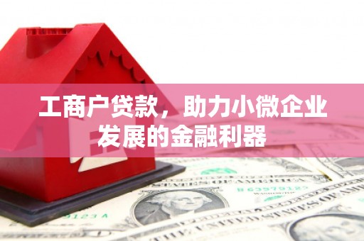 屏南工商户贷款，助力小微企业发展的金融利器