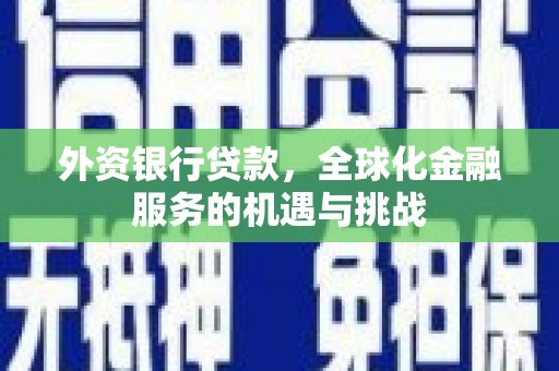 屏南外资银行贷款，全球化金融服务的机遇与挑战
