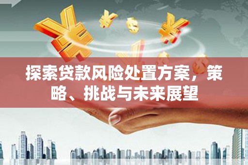 屏南探索贷款风险处置方案，策略、挑战与未来展望