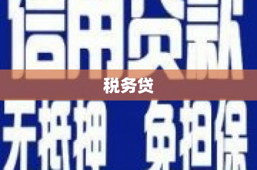 屏南税务贷