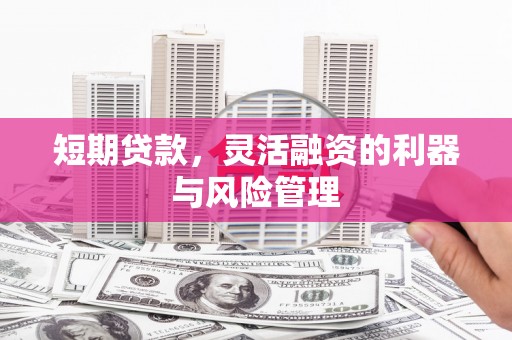 屏南短期贷款，灵活融资的利器与风险管理
