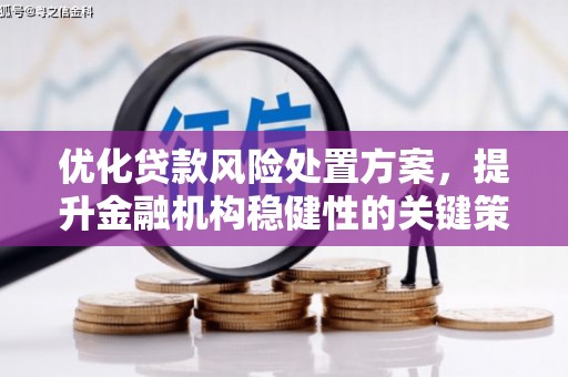 屏南优化贷款风险处置方案，提升金融机构稳健性的关键策略