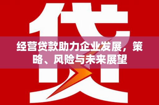 屏南经营贷款助力企业发展，策略、风险与未来展望