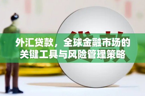 屏南外汇贷款，全球金融市场的关键工具与风险管理策略