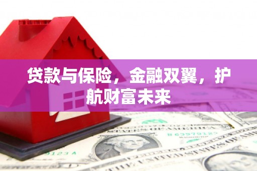 屏南贷款与保险，金融双翼，护航财富未来