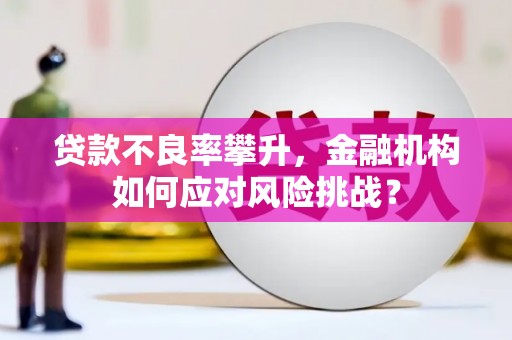 屏南贷款不良率攀升，金融机构如何应对风险挑战？