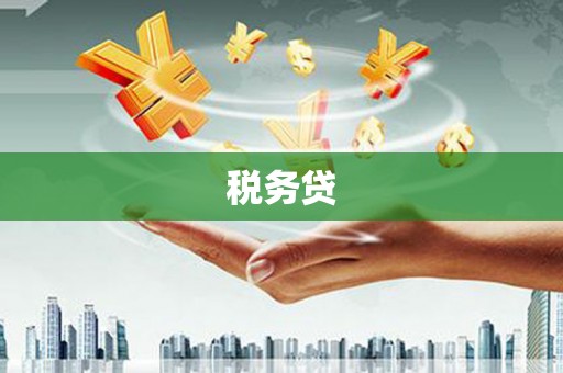 屏南税务贷