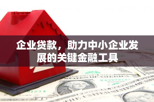 屏南企业贷款，助力中小企业发展的关键金融工具