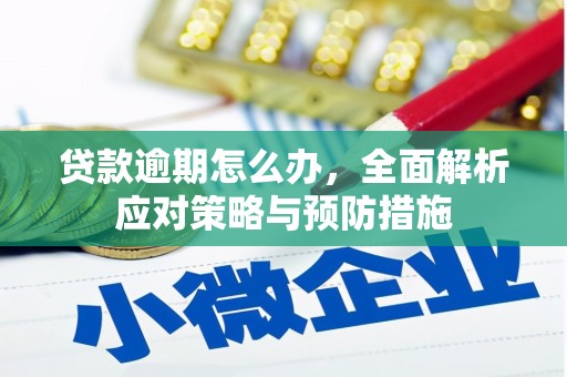 屏南贷款逾期怎么办，全面解析应对策略与预防措施