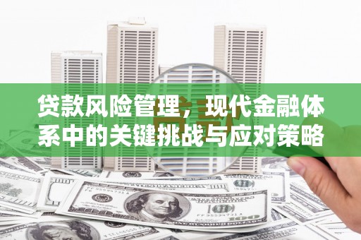 屏南贷款风险管理，现代金融体系中的关键挑战与应对策略
