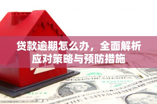 屏南贷款逾期怎么办，全面解析应对策略与预防措施