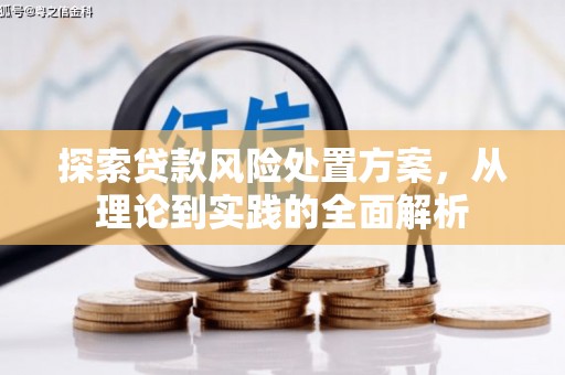 屏南探索贷款风险处置方案，从理论到实践的全面解析