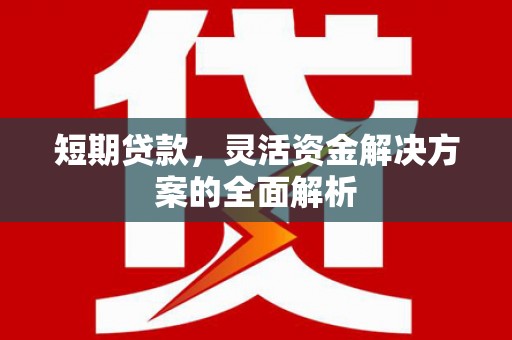 屏南短期贷款，灵活资金解决方案的全面解析