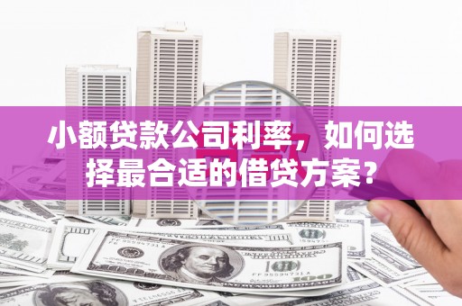 屏南小额贷款公司利率，如何选择最合适的借贷方案？