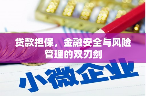 屏南贷款担保，金融安全与风险管理的双刃剑