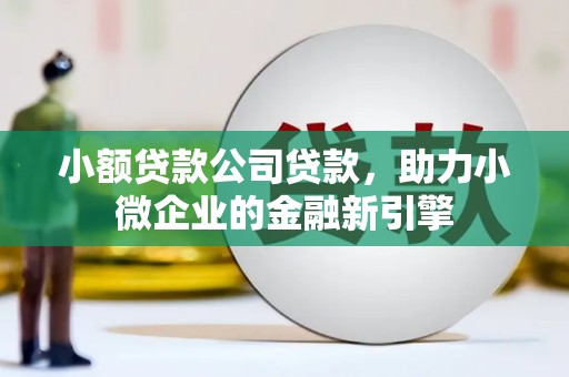 屏南小额贷款公司贷款，助力小微企业的金融新引擎