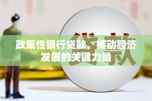屏南政策性银行贷款，推动经济发展的关键力量