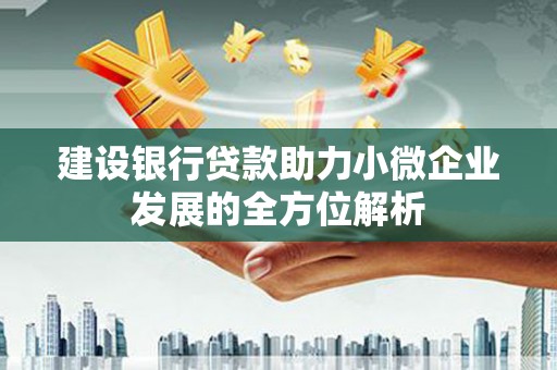 屏南建设银行贷款助力小微企业发展的全方位解析