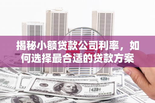 屏南揭秘小额贷款公司利率，如何选择最合适的贷款方案