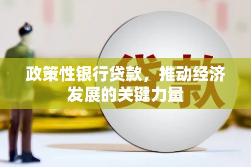 屏南政策性银行贷款，推动经济发展的关键力量