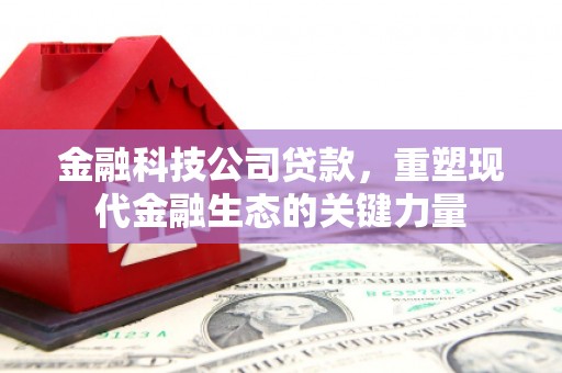 屏南金融科技公司贷款，重塑现代金融生态的关键力量