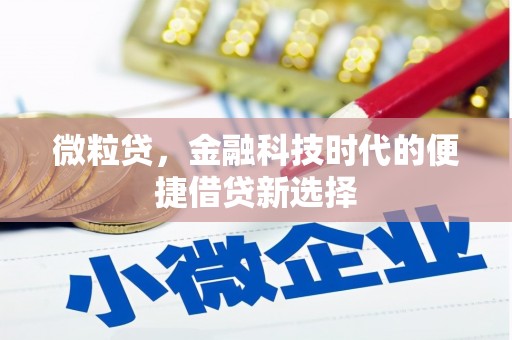 屏南微粒贷，金融科技时代的便捷借贷新选择