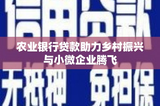 屏南农业银行贷款助力乡村振兴与小微企业腾飞