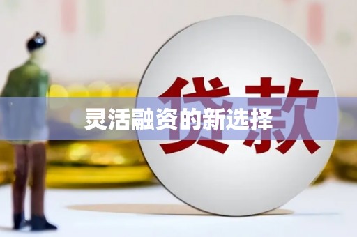 屏南灵活融资的新选择