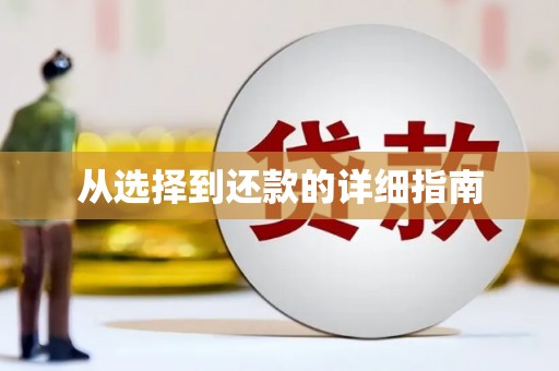 屏南从选择到还款的详细指南