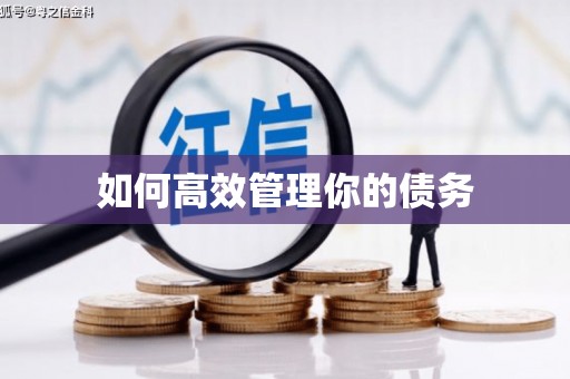 屏南如何高效管理你的债务