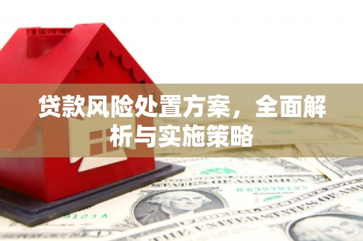 屏南贷款风险处置方案，全面解析与实施策略