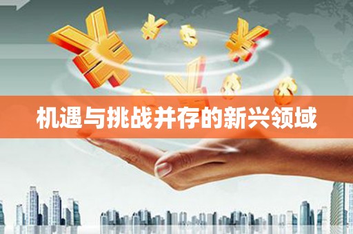 屏南机遇与挑战并存的新兴领域
