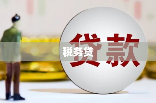 屏南税务贷