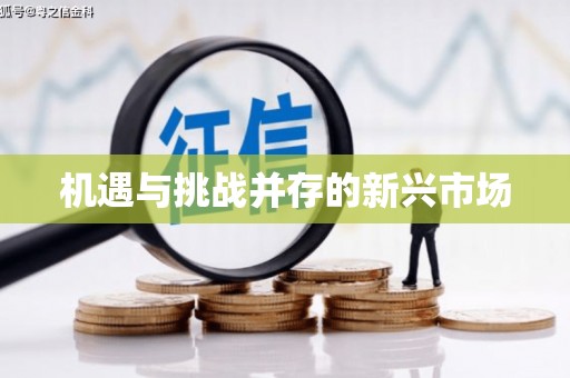 屏南机遇与挑战并存的新兴市场
