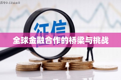 屏南全球金融合作的桥梁与挑战