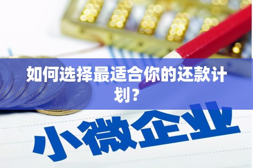 屏南如何选择最适合你的还款计划？