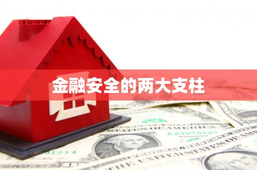 屏南金融安全的两大支柱