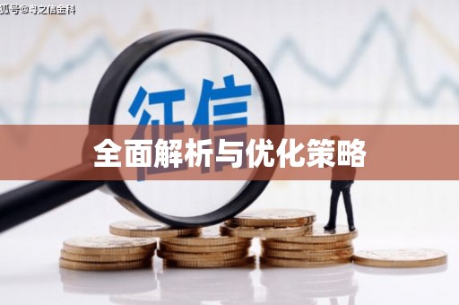 屏南全面解析与优化策略
