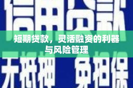 屏南短期贷款，灵活融资的利器与风险管理