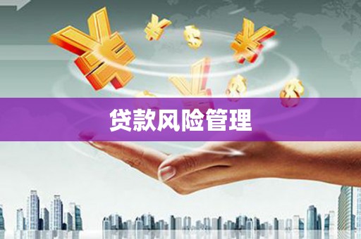 屏南贷款风险管理