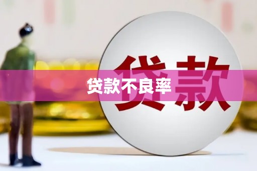 屏南贷款不良率