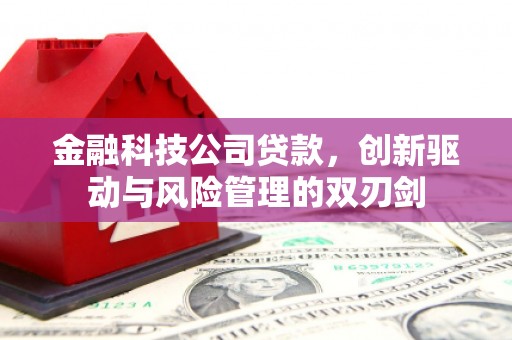 屏南金融科技公司贷款，创新驱动与风险管理的双刃剑